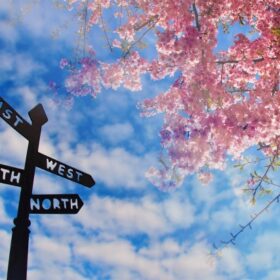 川崎生田相談室　ブログ